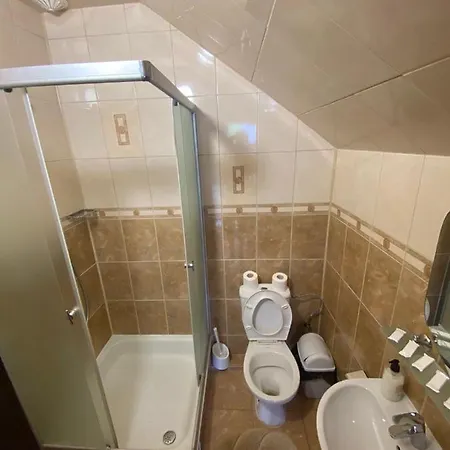 Arefyevykh Guest house