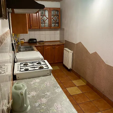 Arefyevykh Guest house