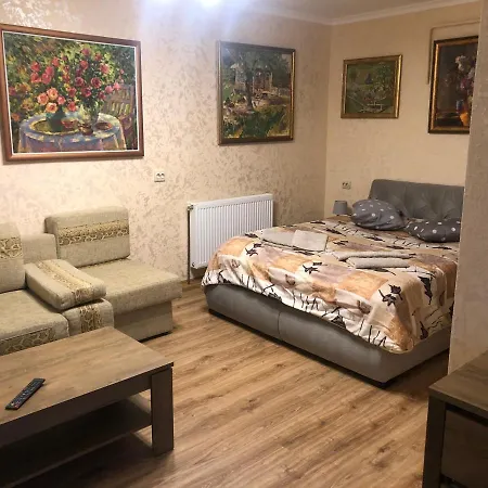 Guest house Arefyevykh 3*