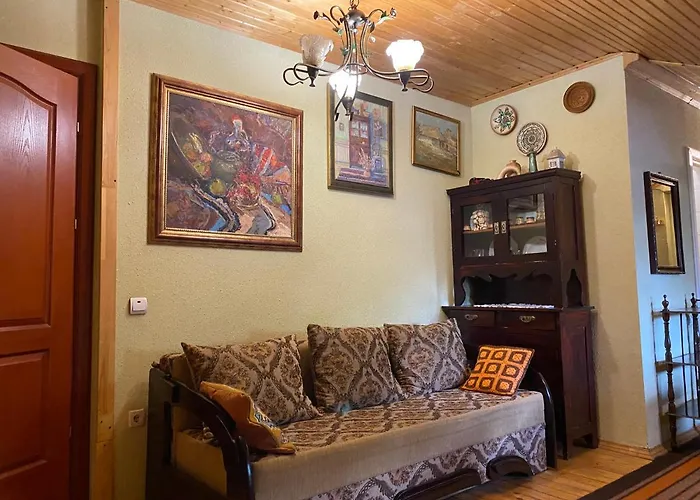 Arefyevykh Πανσιόν Slavske