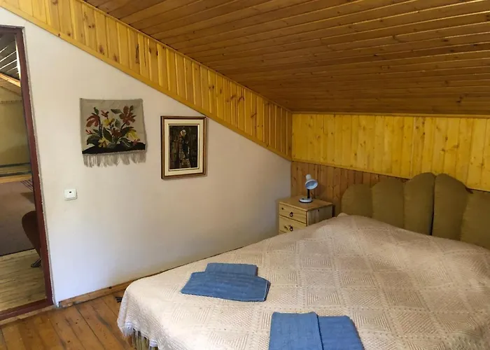 Arefyevykh Konukevi 3*