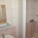 Guest house Arefyevykh 3*