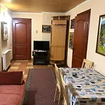 Guest house Arefyevykh 3*